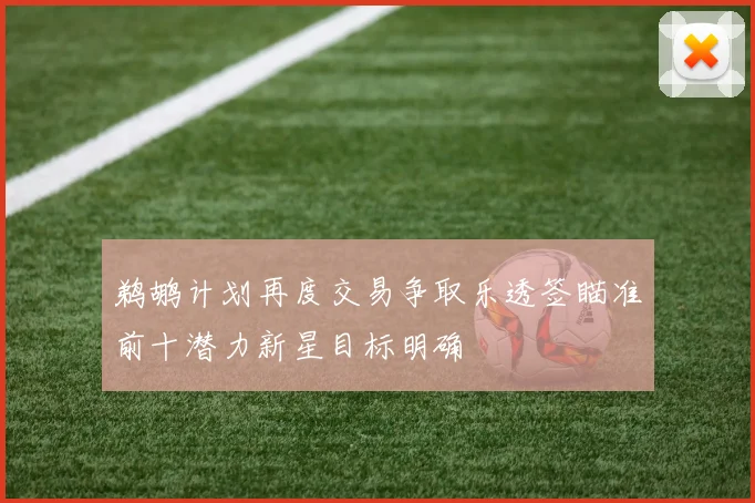 鹈鹕计划再度交易争取乐透签瞄准前十潜力新星目标明确