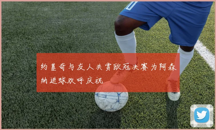 约基奇与友人共赏欧冠决赛为阿森纳进球欢呼庆祝