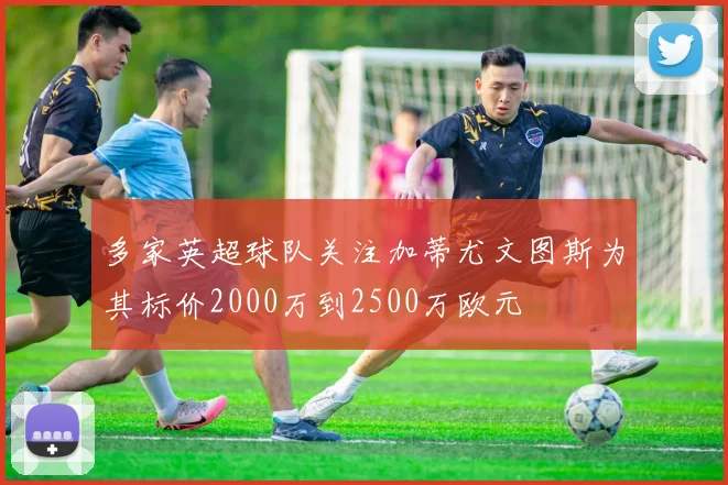 多家英超球队关注加蒂尤文图斯为其标价2000万到2500万欧元